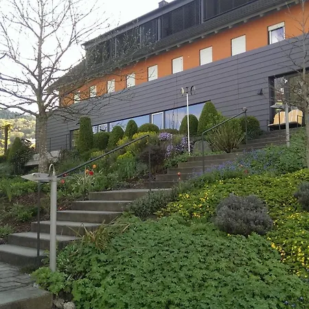 Zapa Singen (Hohentwiel)