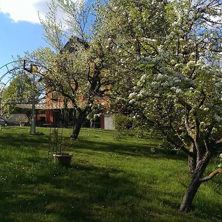 Hotel Zapa