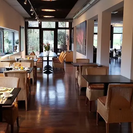 Zapa Singen (Hohentwiel)